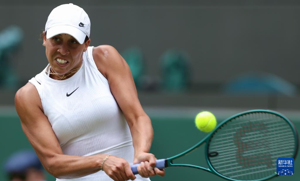 职业生涯的 职业生涯的