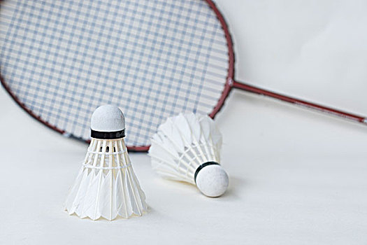 队在战术 队在战术